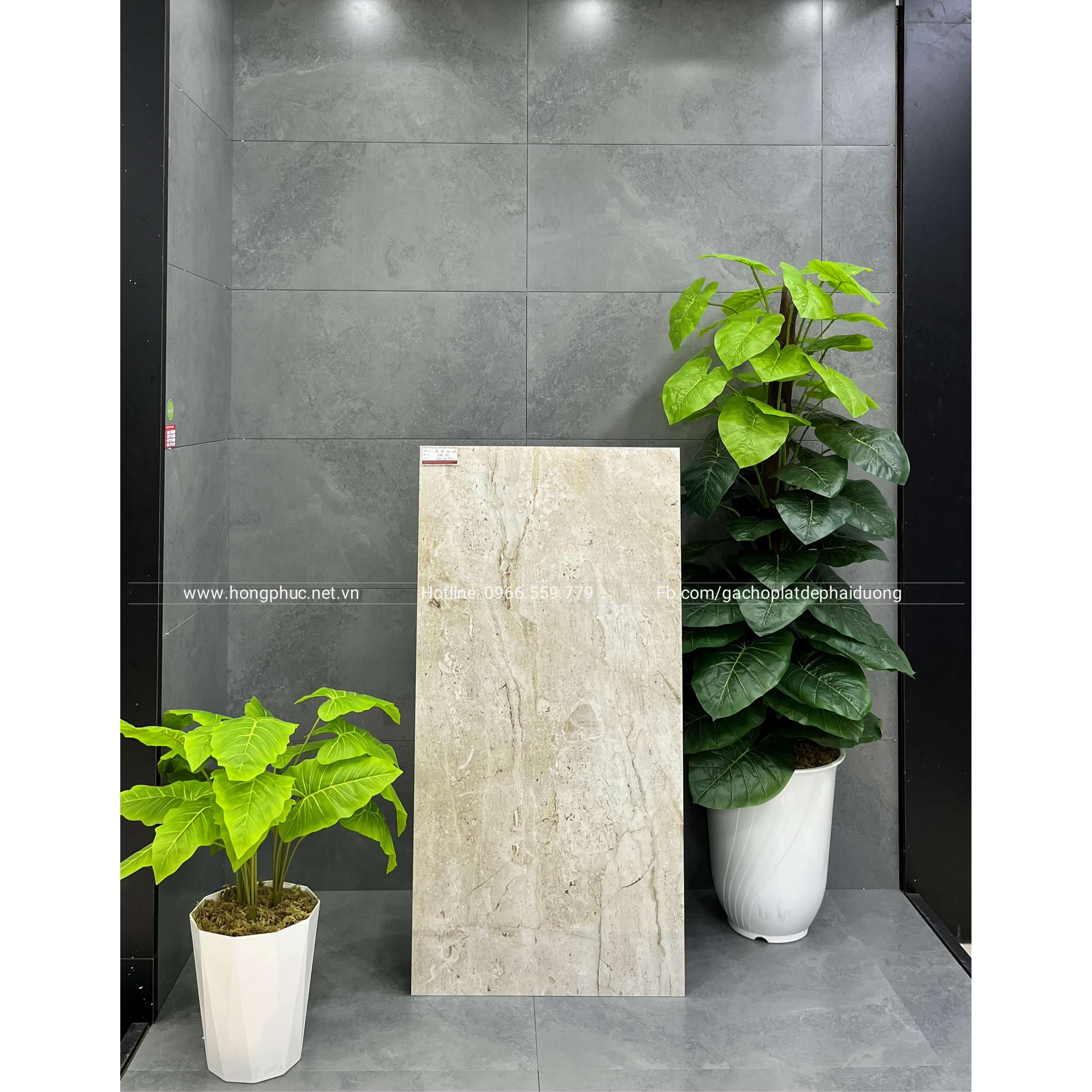 Gạch Ấn Độ HP13 Gạch Ấn Độ HP13