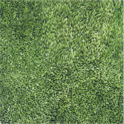 Gạch Sân Vườn Đồng Tâm 4040GRASS001 Gạch Sân Vườn Đồng Tâm 4040GRASS001