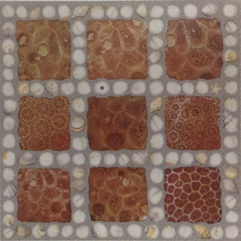 Gạch Sân Vườn Đồng Tâm DTD5050TRUONGSAVN Gạch Sân Vườn Đồng Tâm DTD5050TRUONGSAVN